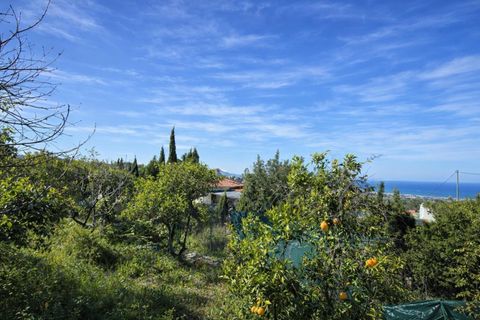 Tomt i Benimeli, Alicante, Benimeli - € 83 000 | Ref: PNPT297 - foto 24
